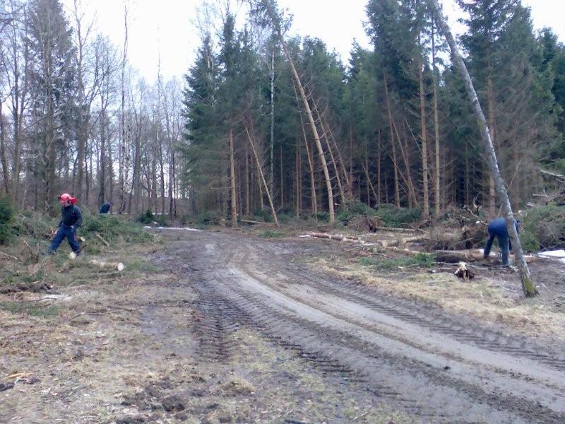 2011-03-12_Joakim03.jpg